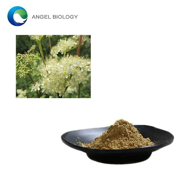 Can Meadowsweet Extract Powder Help with Pain Relief?